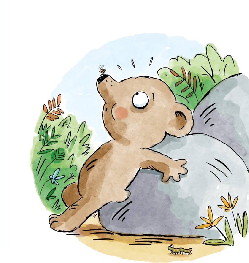 A small brown bear cub standing and looking ahead, watercolour illustration